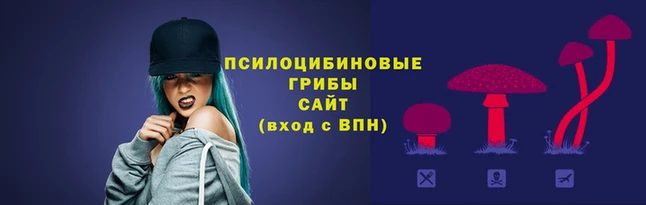 ALPHA-PVP Бородино