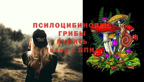 apvp Бугульма