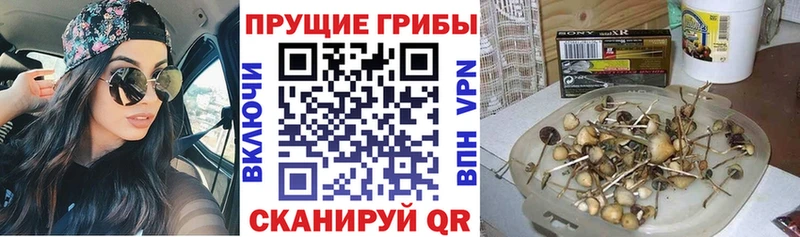 Купить где  Уяр  Псилоцибиновые грибы Magic Shrooms 